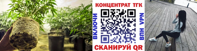 Дистиллят ТГК Wax  Унеча 