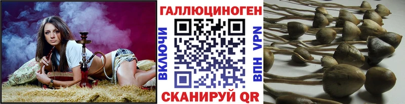 наркотики  Унеча  Псилоцибиновые грибы прущие грибы 